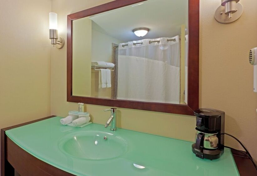 سوییت, Holiday Inn Express Hotel & Suites Charleston Southridge, An Ihg