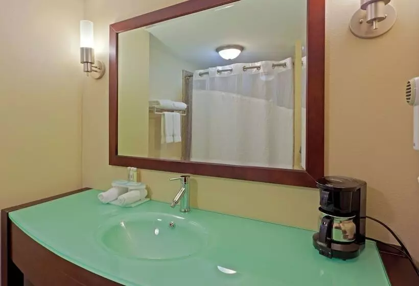 スイート, Holiday Inn Express Hotel & Suites Charleston Southridge, An Ihg
