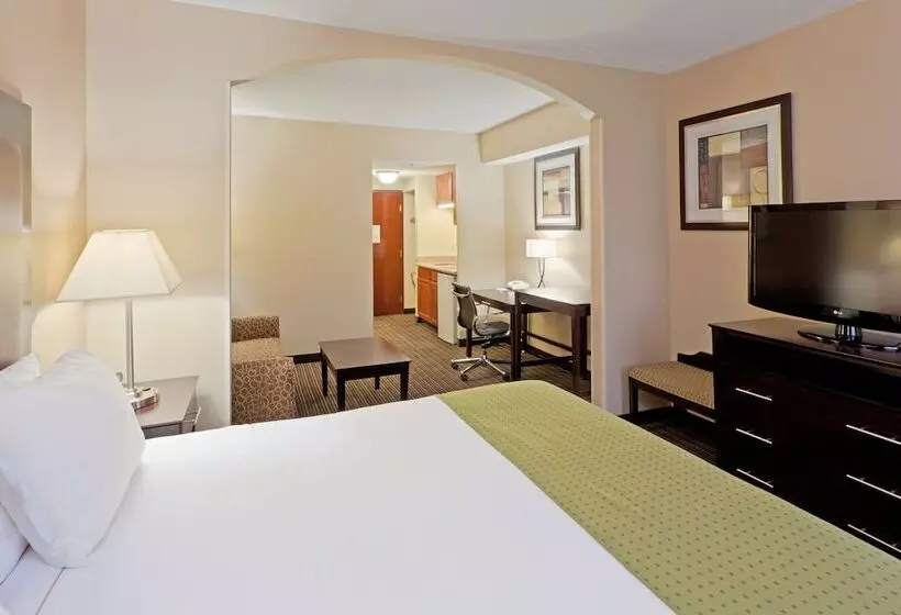 スイート, Holiday Inn Express Hotel & Suites Charleston Southridge, An Ihg