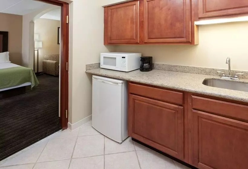スイート, Holiday Inn Express Hotel & Suites Charleston Southridge, An Ihg