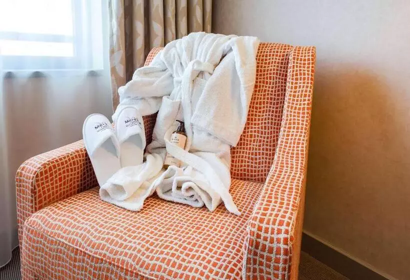اتاق پرستیژ, Mercure Clermont Ferrand Centre Jaude