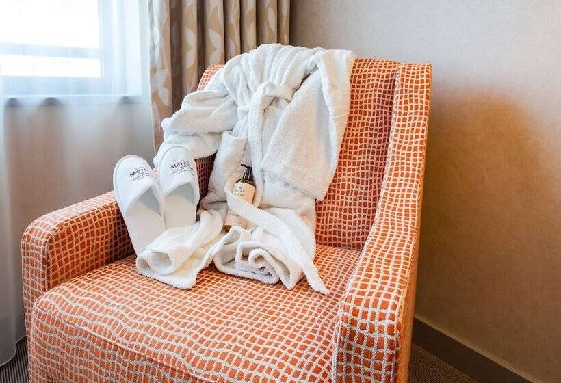 اتاق پرستیژ, Mercure Clermont Ferrand Centre Jaude