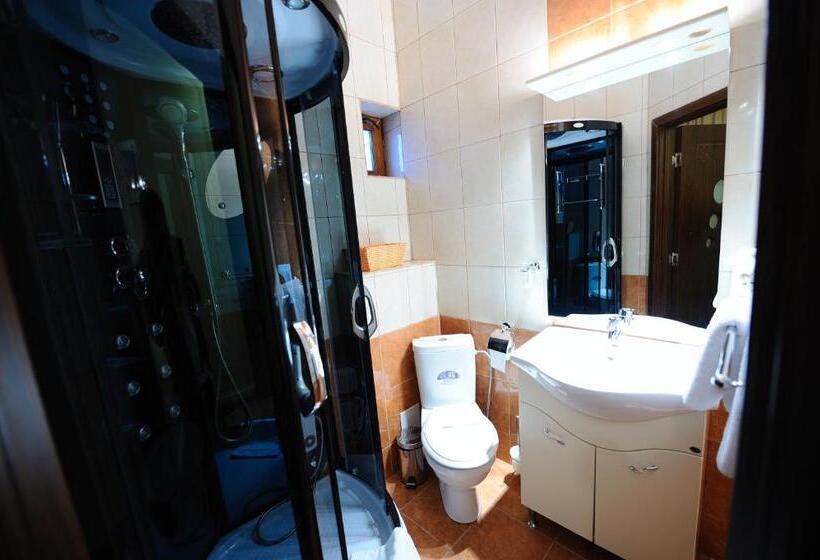 スタンダードシングルルーム, Royal Craiova