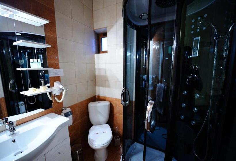 スタンダードシングルルーム, Royal Craiova