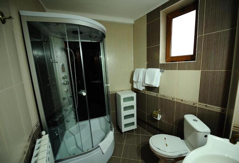 スタンダードルーム, Royal Craiova