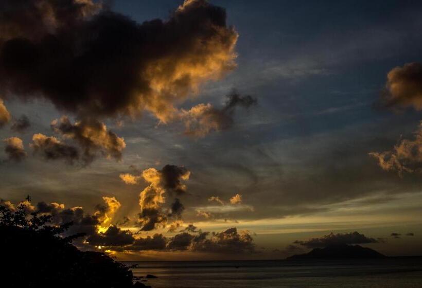 اتاق استاندارد, Treasure Cove Hotel & Restaurant