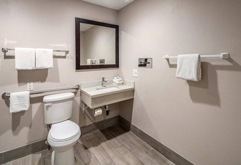 quarto Deluxe Adaptado para Deficientes Físicos, Red Roof Inn St George Ut  Convention Center
