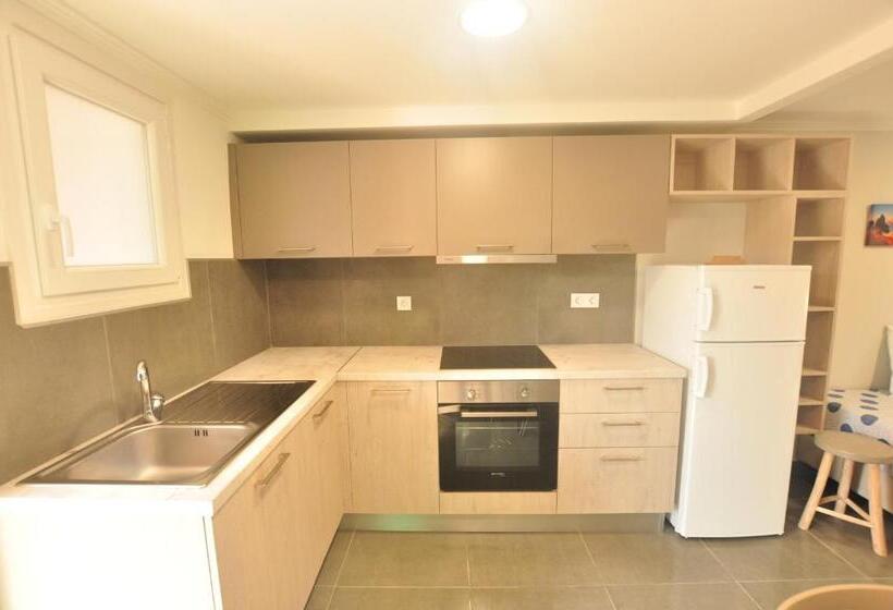 １ベッドルームのスーペリアアパートメント, Tassos Apartments