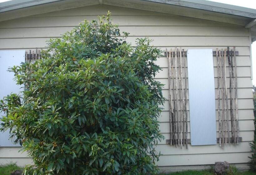 بنجلو قياسى, Bicheno By The Bay