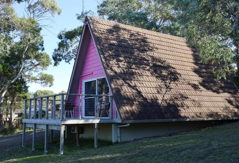 بنجلو ديلوكس, Bicheno By The Bay