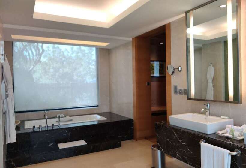 Президентский Люкс, Hyatt Hyderabad Gachibowli