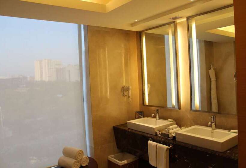 Президентский Люкс, Hyatt Hyderabad Gachibowli