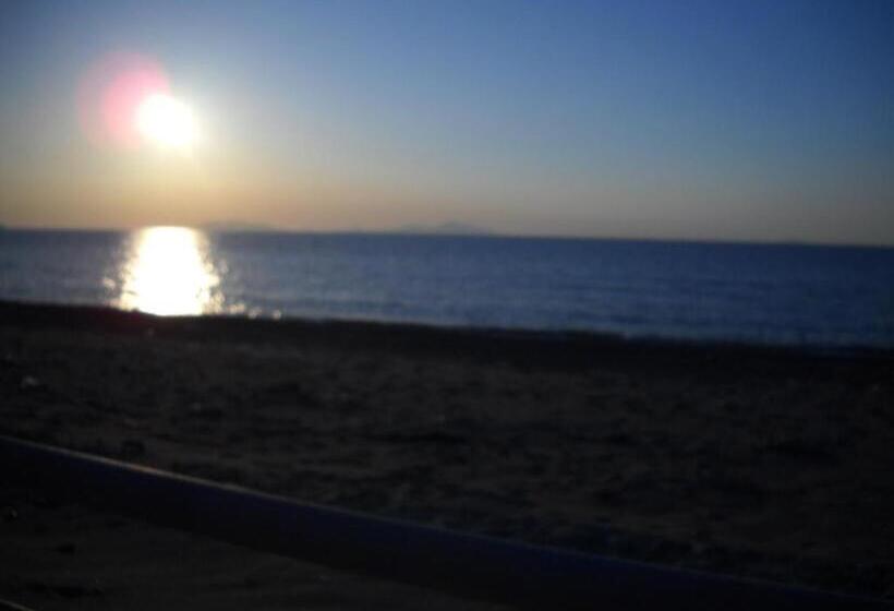 スタンダードルーム, Le Formiche