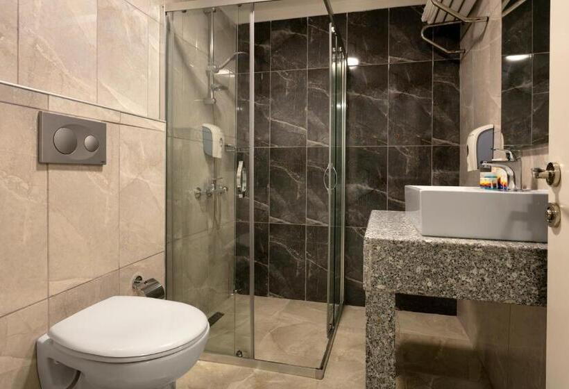 اتاق استاندارد با چشمانداز باغ, Selectum Colours Side