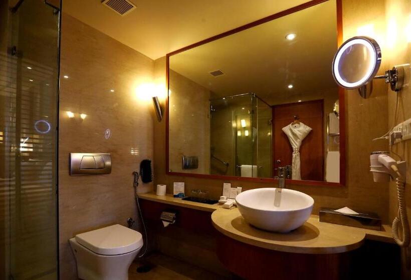 غرفة بيزنس, Radisson Blu Hotel Chennai City Centre