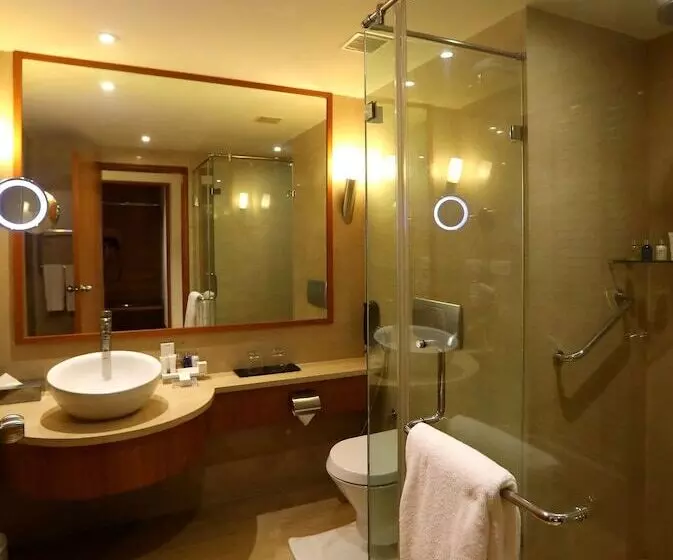 デラックスルーム, Radisson Blu Hotel Chennai City Centre