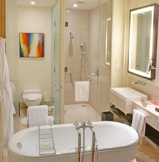 琮城市景观的豪华间, Trident Hyderabad