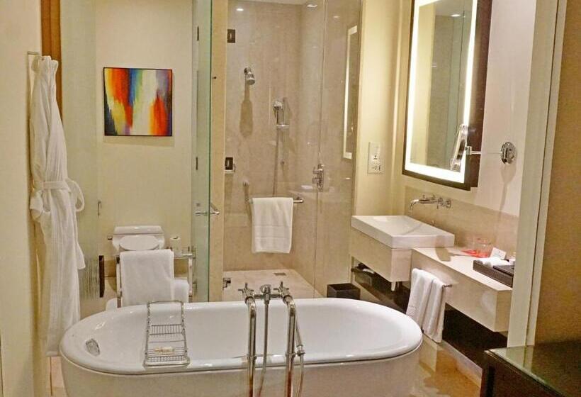 俱乐部套间, Trident Hyderabad