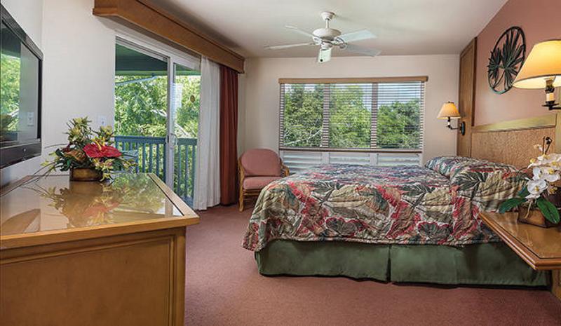 带花园的豪华房间, Trident Hyderabad