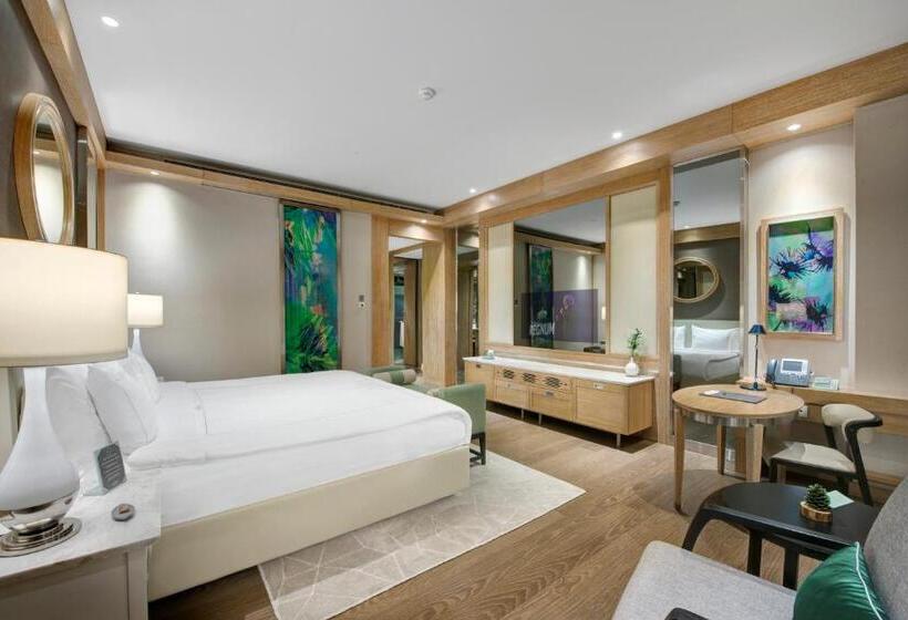 带海景的标准房, Regnum Carya
