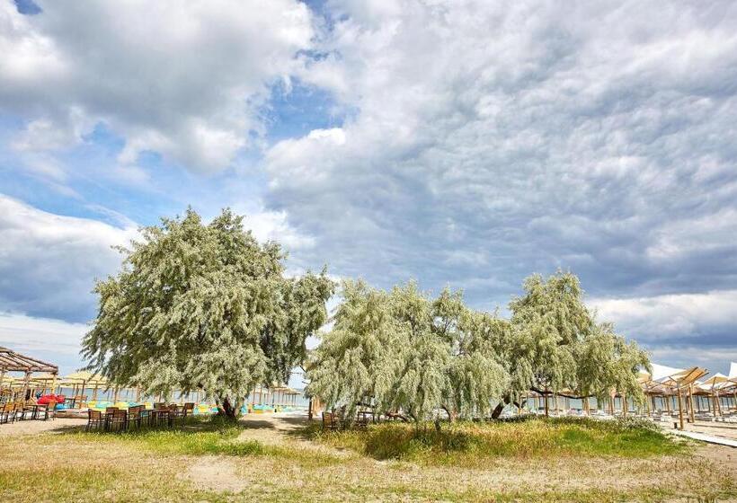 إستوديو قياسى, Apartamente Promenada 2