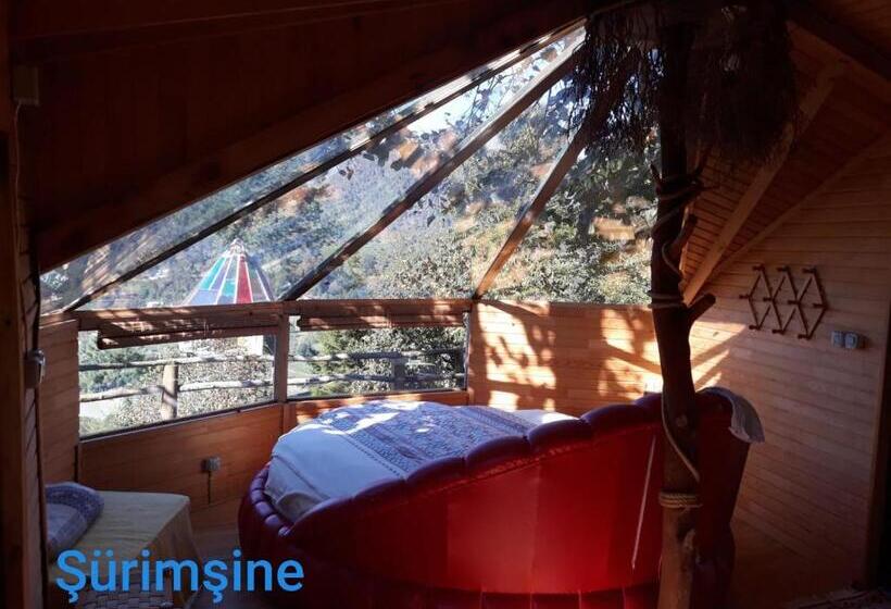 ファミリールーム, Olimbera Köy Evi