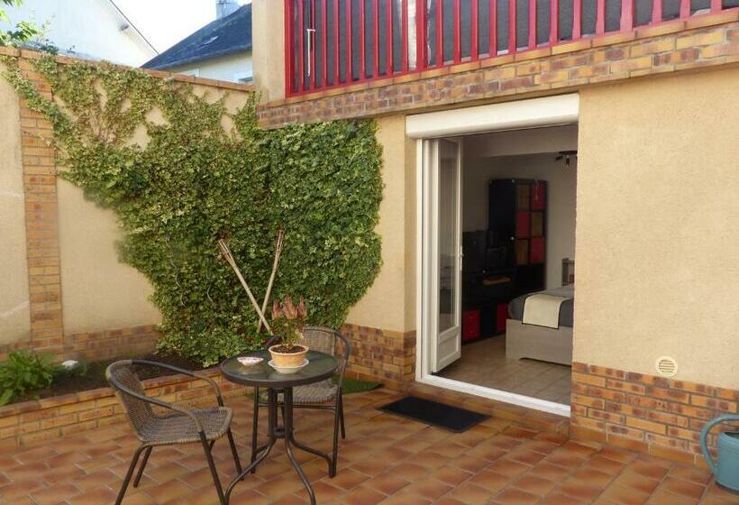 اتاق استاندارد, Lio