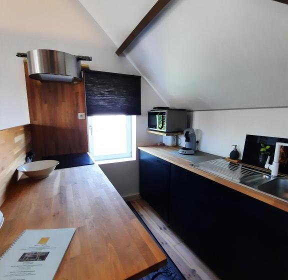 جناح عائلي, T Een En T Ander