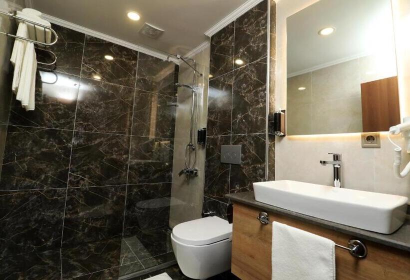 Camera Standard, Bayrak Grand