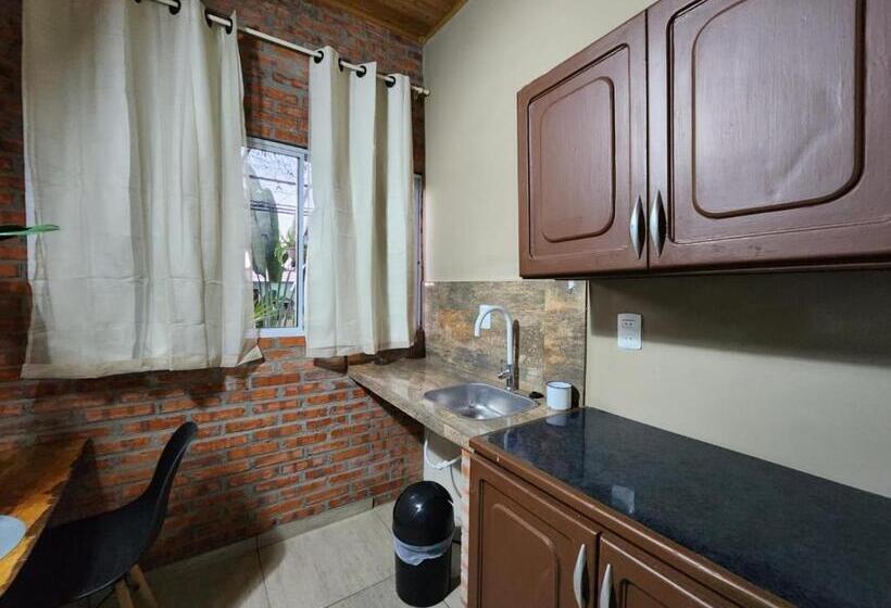 استودیوی استاندارد, Ivy House Apart