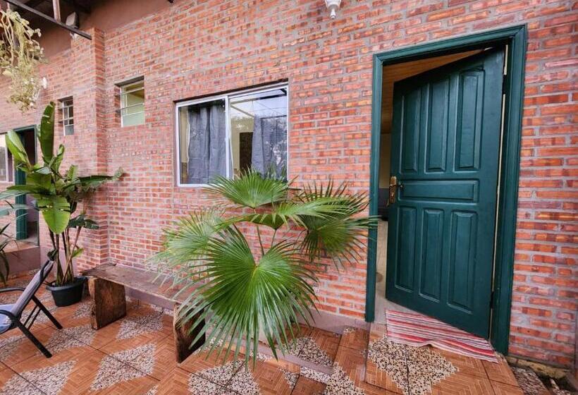 استودیوی استاندارد, Ivy House Apart