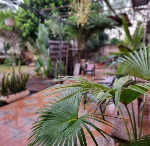 استودیوی استاندارد, Ivy House Apart
