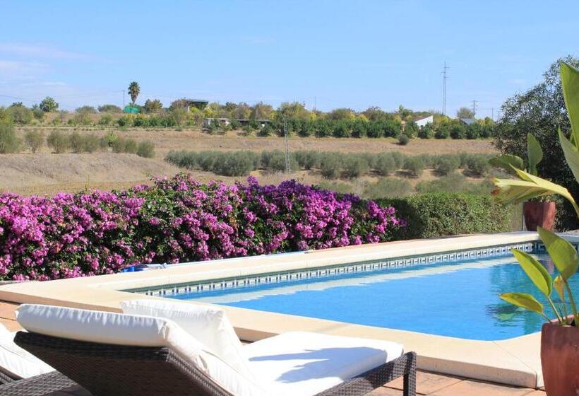 كوخ قياسي, Los Chozones