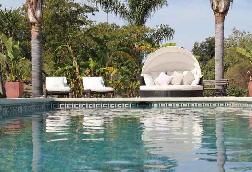 كوخ قياسي, Los Chozones