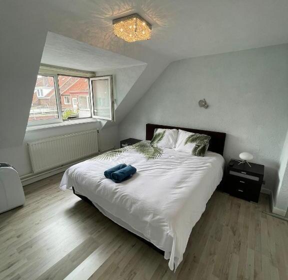 اتاق استاندارد, Mg Bb