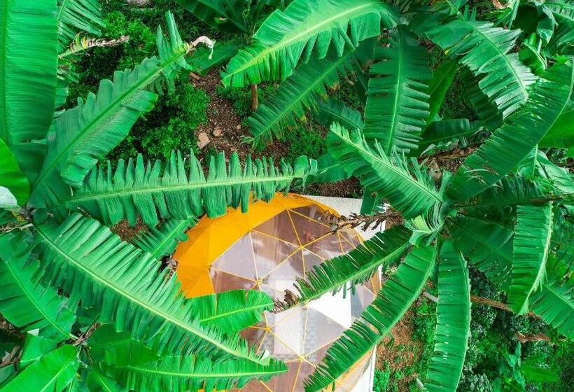 סוויטה, Bajo El Cielo Glamping San Francisco