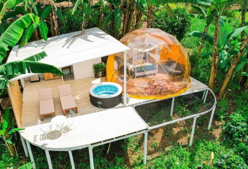חדר דלוקס, Bajo El Cielo Glamping San Francisco