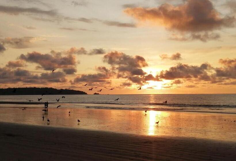 Номер Deluxe, Ostional River