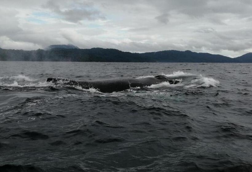 Номер Deluxe, Ostional River