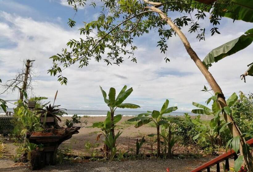 Номер Deluxe, Ostional River