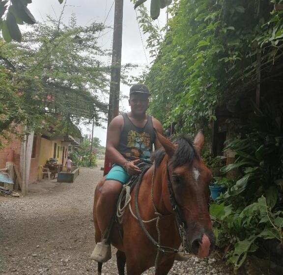 Номер Deluxe, Ostional River