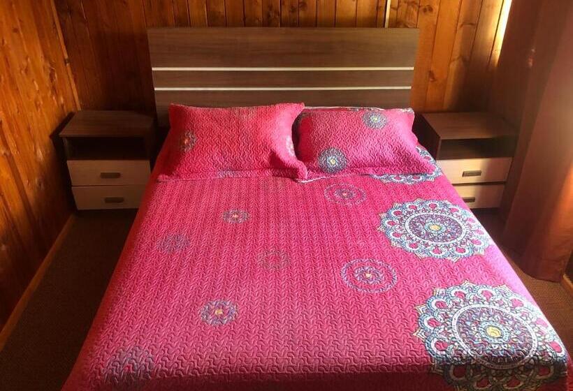 اتاق استاندارد با سرویس بهداشتی مشترک, Hostal Huepil