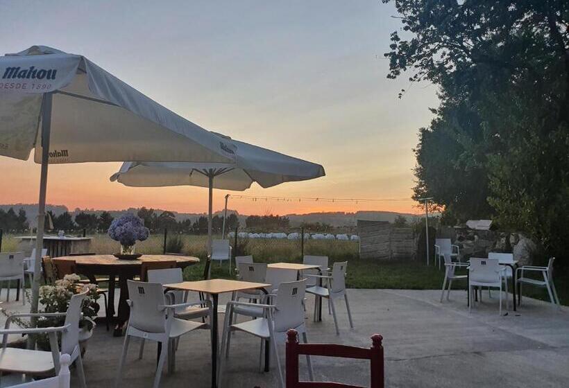 标准三人间, La Pallota De San Cristobal