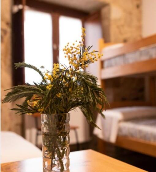 标准三人间, La Pallota De San Cristobal