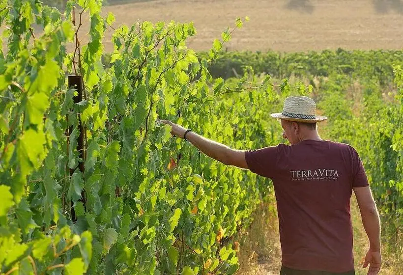 テラス付き１ベッドルームアパートメント, Terravita Winery & Boutique Apartments