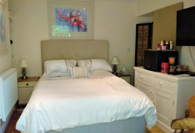 带大床的标准工作室, Sunny Patch