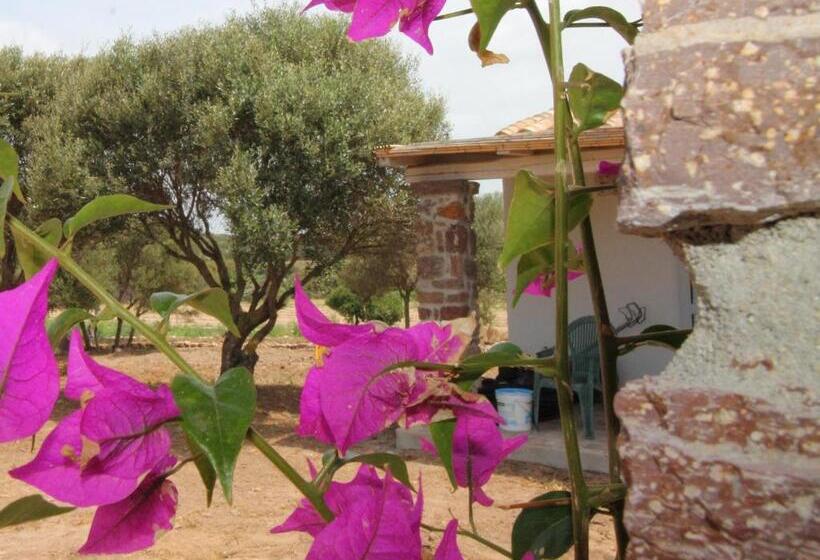 豪华园景房, Oasi Blu