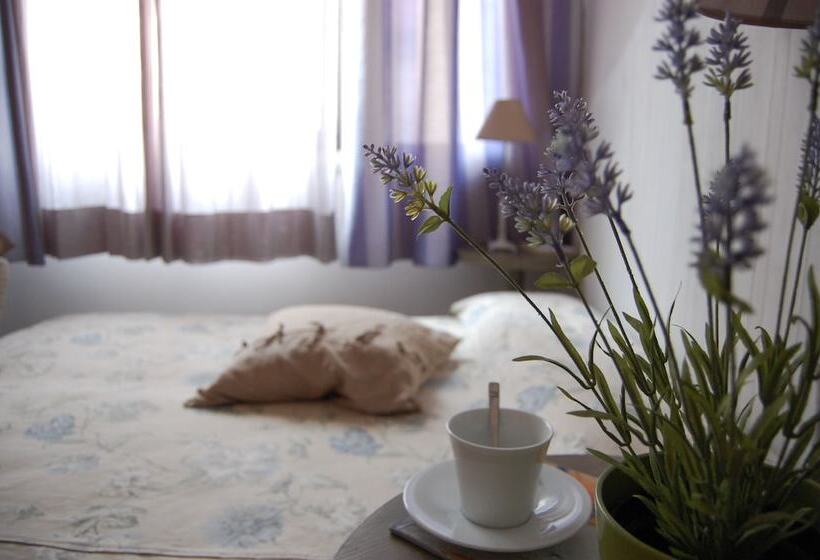 غرفة قياسية, Portatenea   Atenea Collection