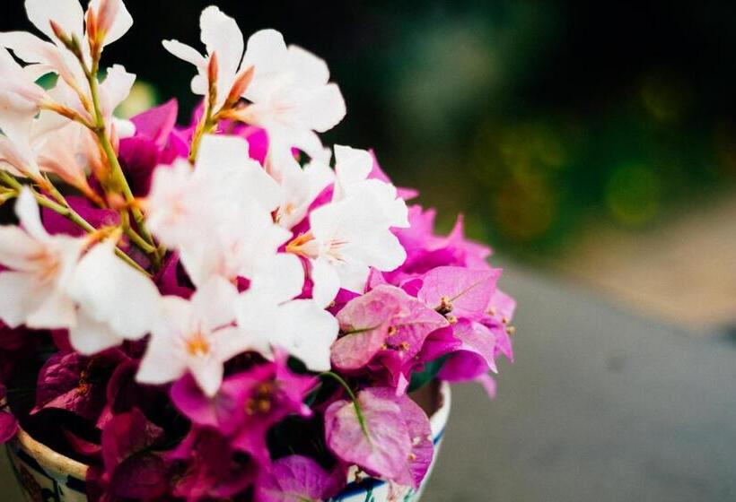 带海景的高级的单人间, Villino Eleonora