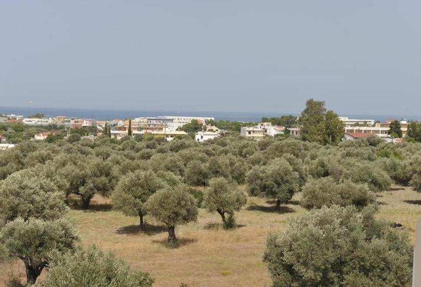 프리미엄 룸, Evita Studios